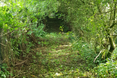 20200727_100041