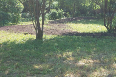 IMG-20240524-WA0003