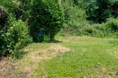 IMG-20240524-WA0009