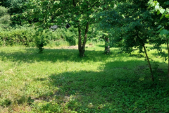 IMG-20240524-WA0010