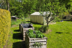 IMG-20260510-WA0005